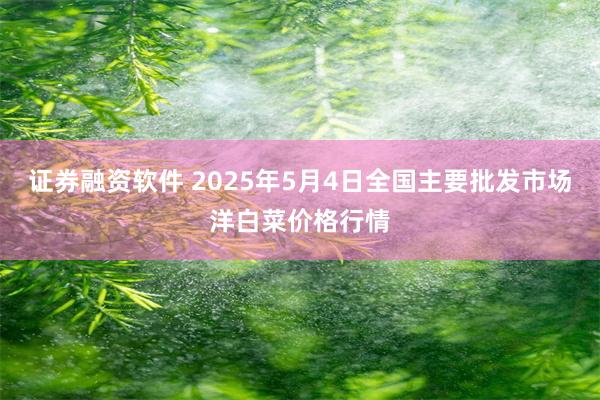 证券融资软件 2025年5月4日全国主要批发市场洋白菜价格行情