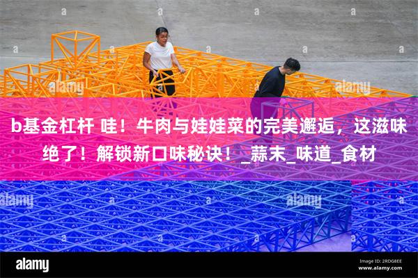 b基金杠杆 哇！牛肉与娃娃菜的完美邂逅，这滋味绝了！解锁新口味秘诀！_蒜末_味道_食材