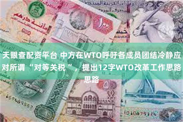 天眼查配资平台 中方在WTO呼吁各成员团结冷静应对所谓 “对等关税 ”，提出12字WTO改革工作思路