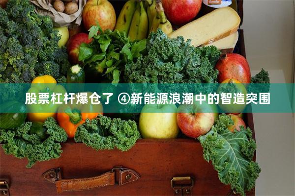 股票杠杆爆仓了 ④新能源浪潮中的智造突围