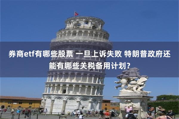 券商etf有哪些股票 一旦上诉失败 特朗普政府还能有哪些关税备用计划？