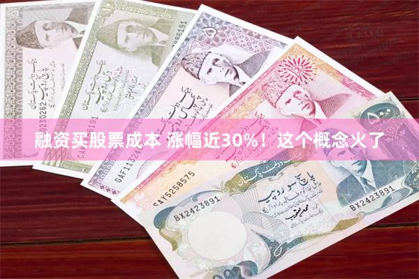 融资买股票成本 涨幅近30%！这个概念火了